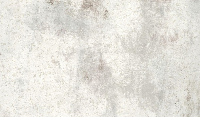 Обои Fresco Elegant SZ001474