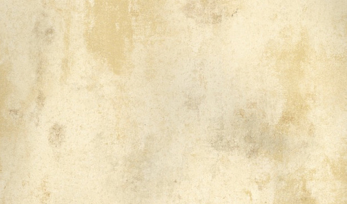 Обои Fresco Elegant SZ001476