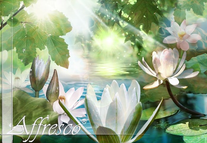 Панно и фотообои Affresco Modern Series ms557