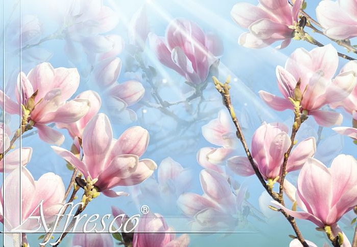 Панно и фотообои Affresco Modern Series ms555