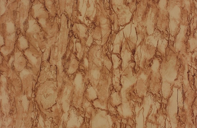 Обои Nina Campbell Fontibre Wallpaper NCW4204-04