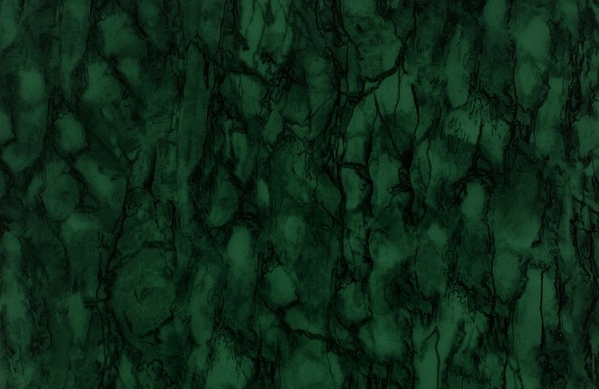 Обои Nina Campbell Fontibre Wallpaper NCW4204-06