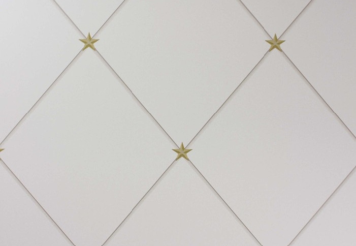 Обои Nina Campbell Rosslyn Wallpapers NCW4151-05