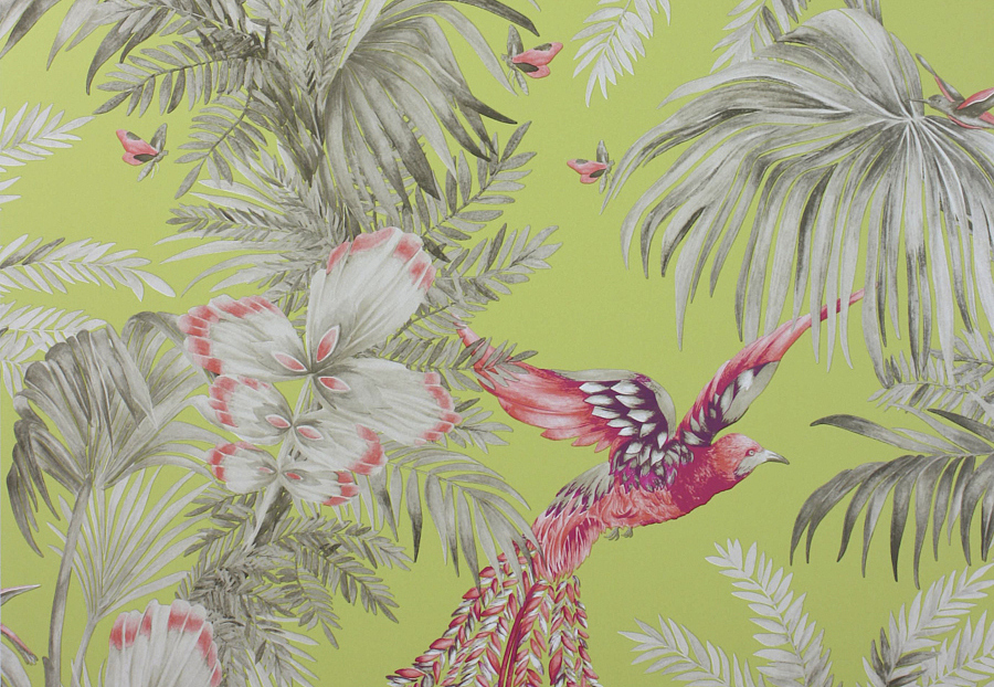 Обои Matthew Williamson Samana W6655-01