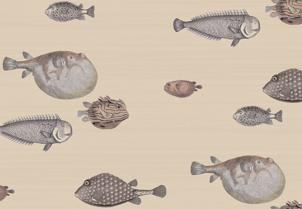 Обои Cole & Son Fornasetti Senza Tempo 114/16033