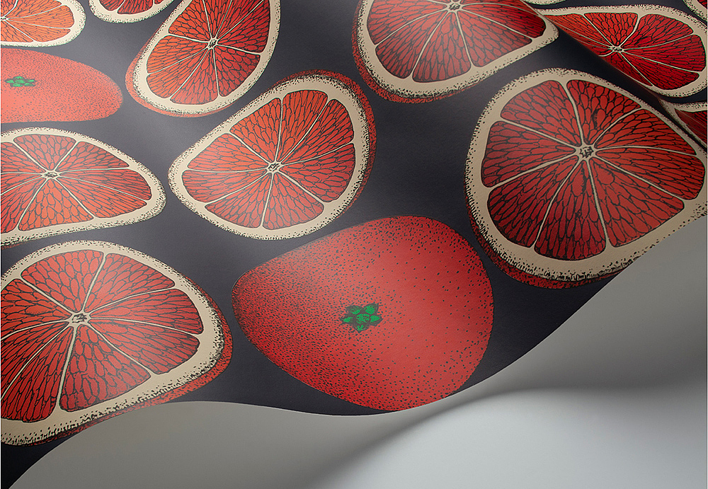 Обои Cole & Son Fornasetti Senza Tempo 114/24046