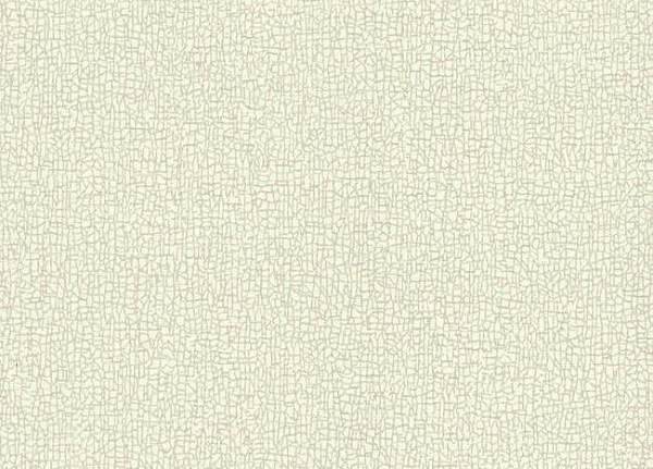 Обои York Candice Olson - Terrain COD0534N