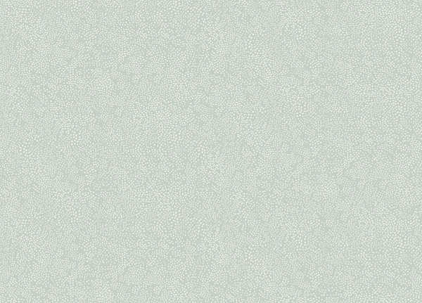 Обои York Rifle Paper Co RI5114