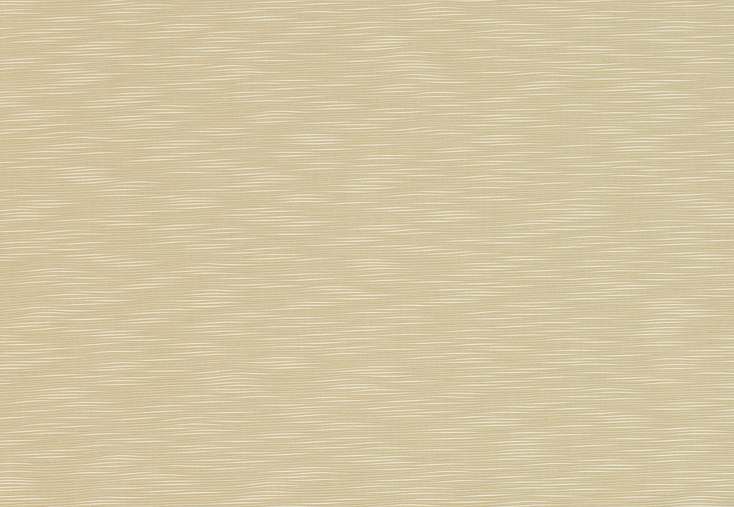 Ткань Manuel Canovas Hansa 04937/03