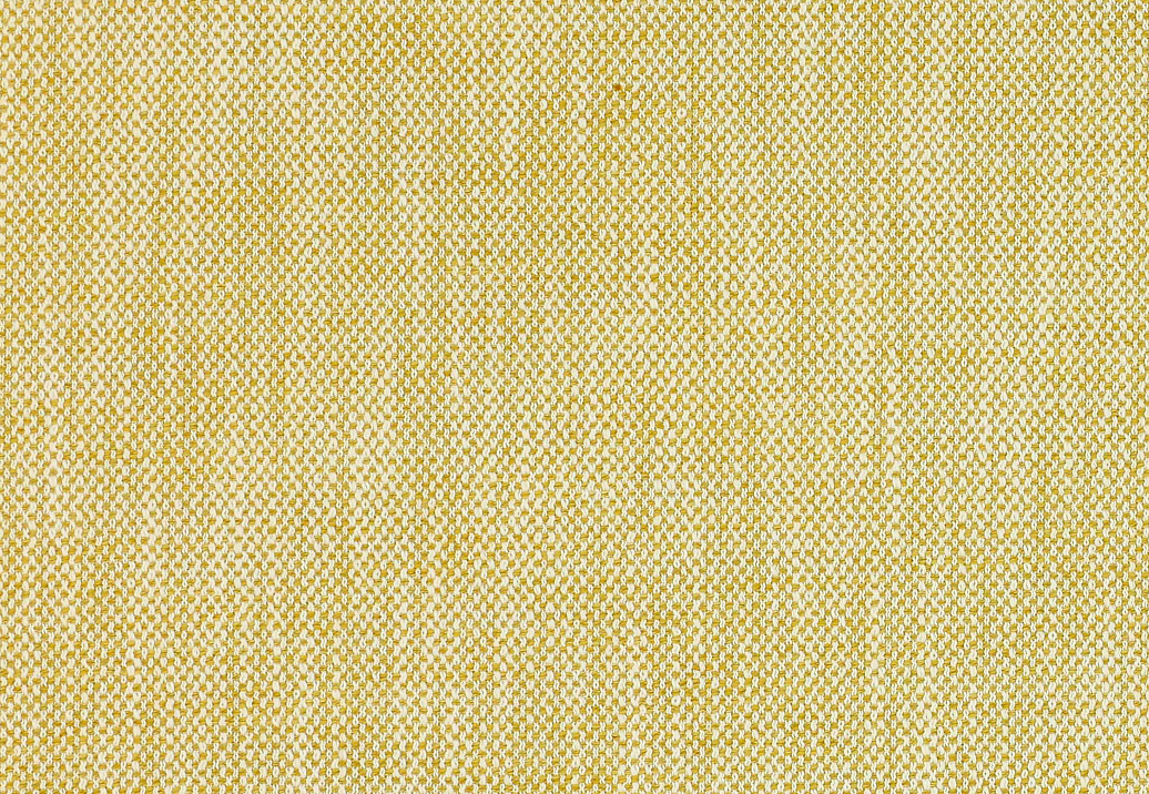 Ткань Manuel Canovas Sarla 04929/101