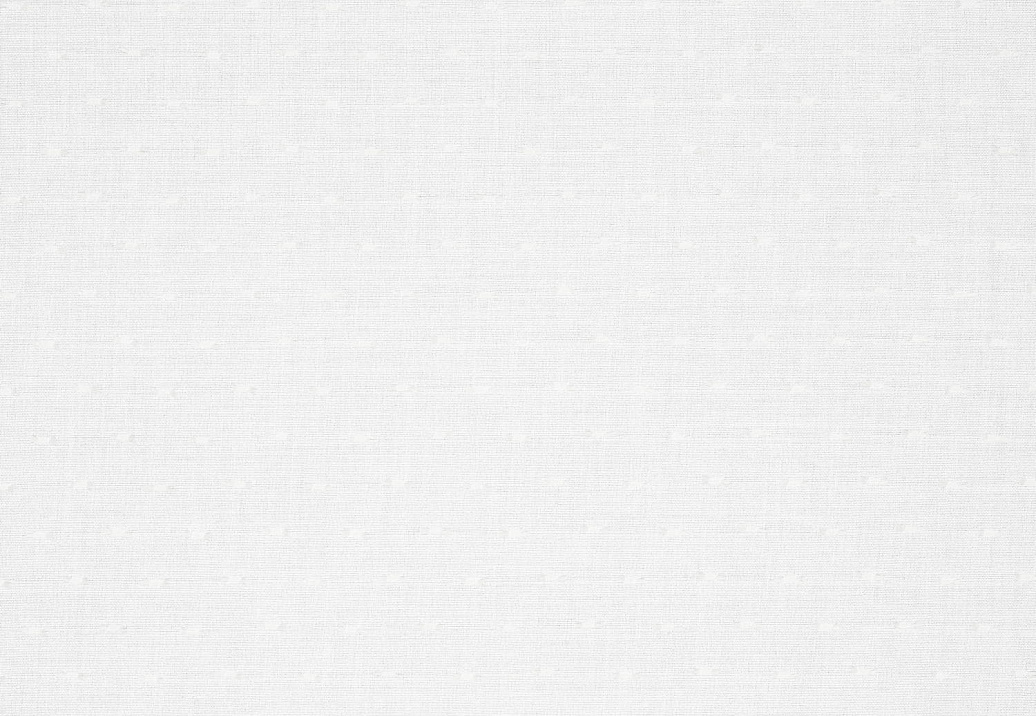 Ткань Nobilis Voiles de Lin XXL №2 10705.03