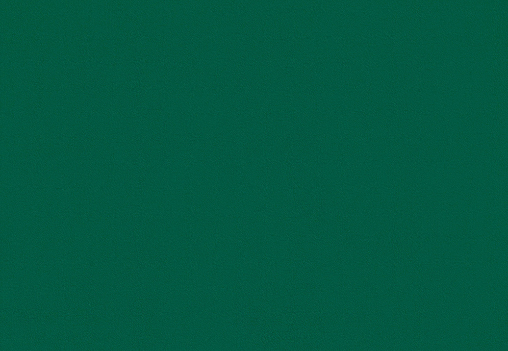 Ткань Kirkby Design Laser II KB5094/65
