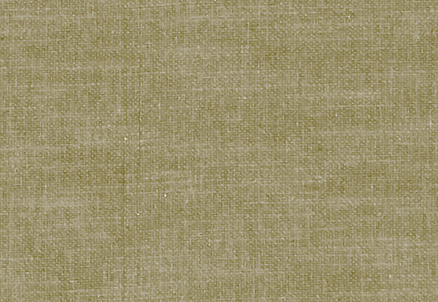 Ткань Clarke & Clarke Amalfi F1239/41