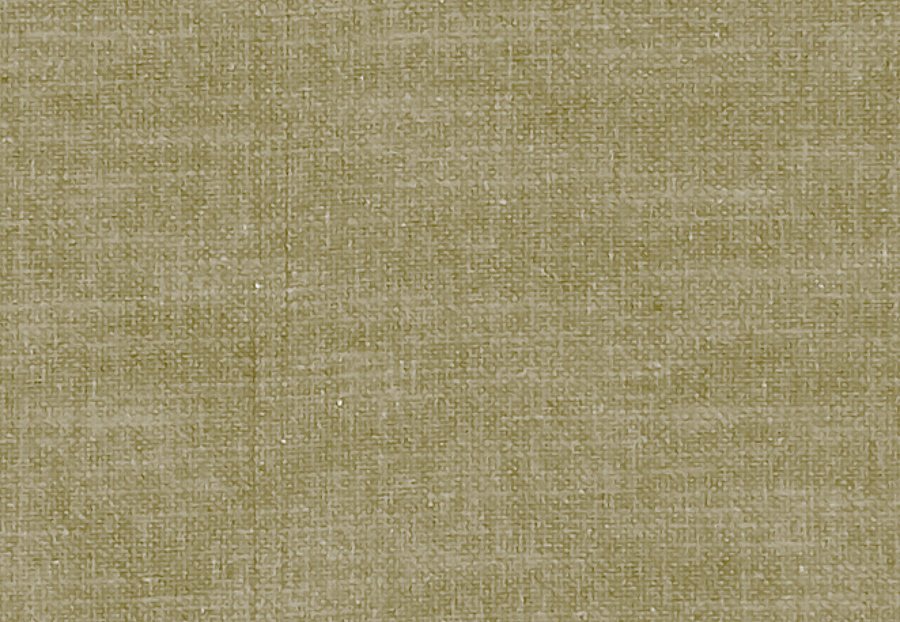 Ткань Clarke & Clarke Amalfi F1239/41