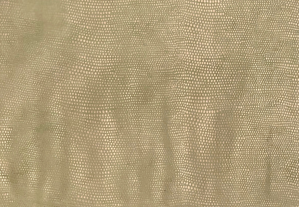 Ткань Galleria Arben Bernini Talenti/11