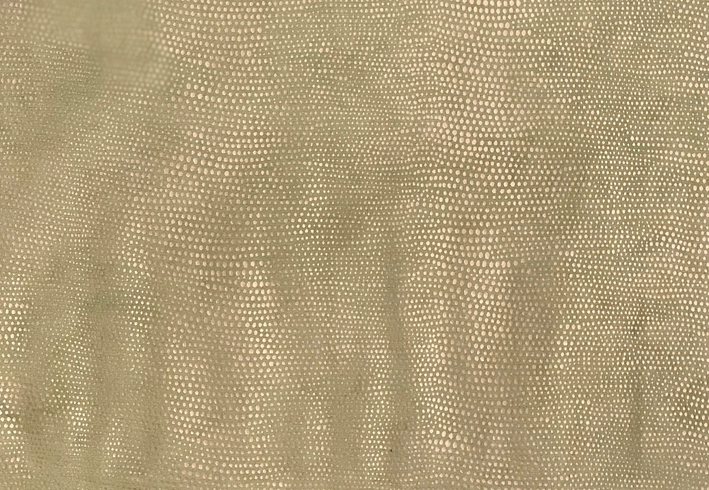 Ткань Galleria Arben Bernini Talenti/11