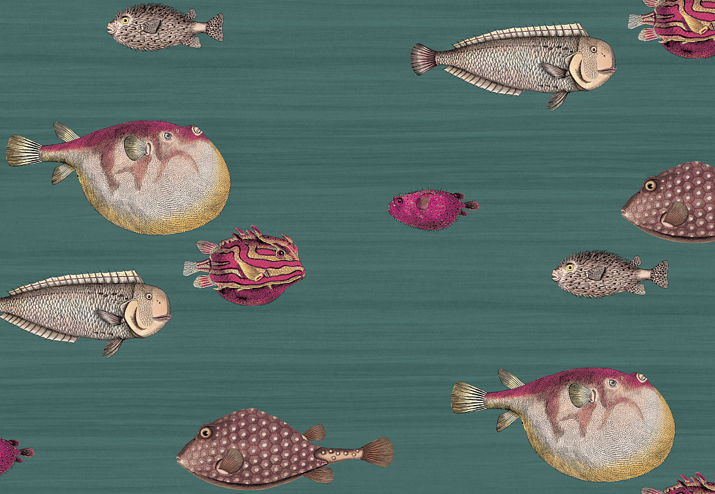 Обои Cole & Son Fornasetti III 114/12024
