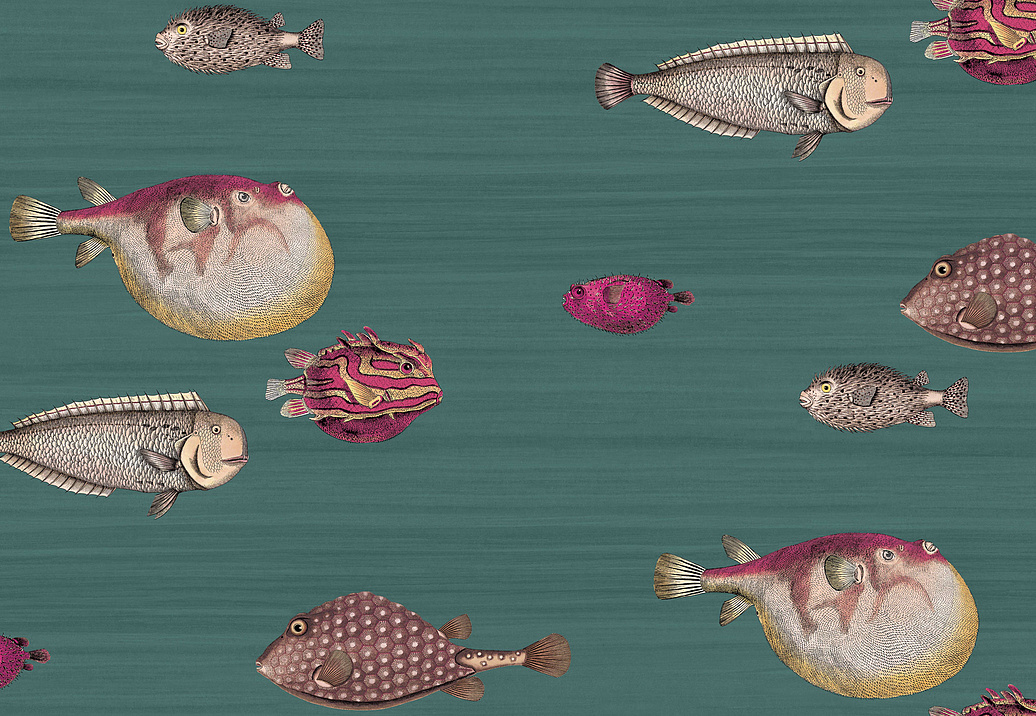 Обои Cole & Son Fornasetti III 114/12024