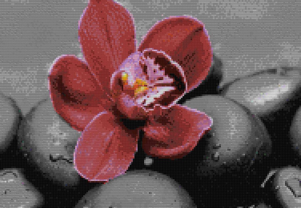 Обои Mozzle Floral MZ00520-001
