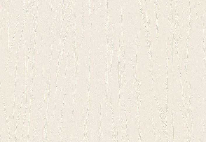 Обои Rasch Passepartout 605938