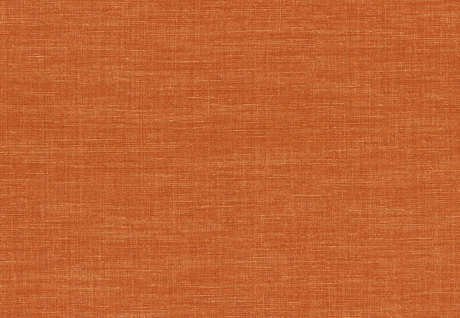 Обои Casamance Apaches 73811946
