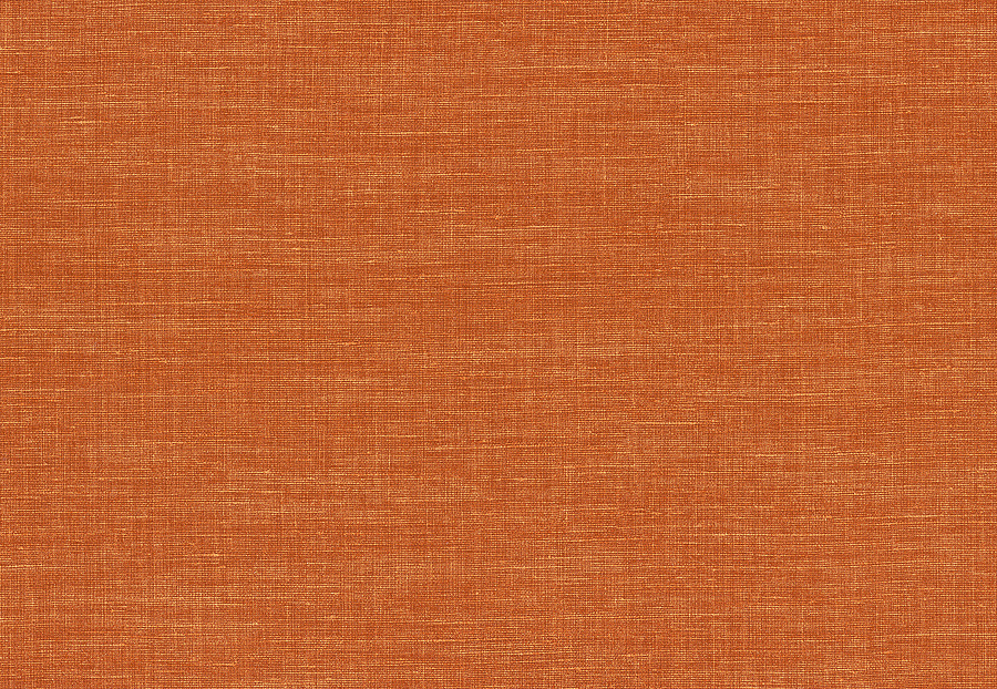 Обои Casamance Apaches 73811946