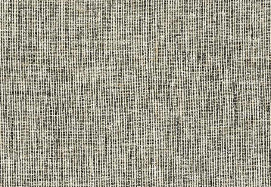Ткань Fabricut Natural Nuances Vignettes Oyster Senegal/Ash