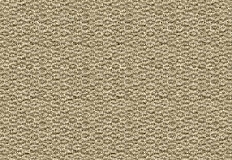 Ткань Fabricut Natural Nuances Vignettes Clay Bayberry/Midas