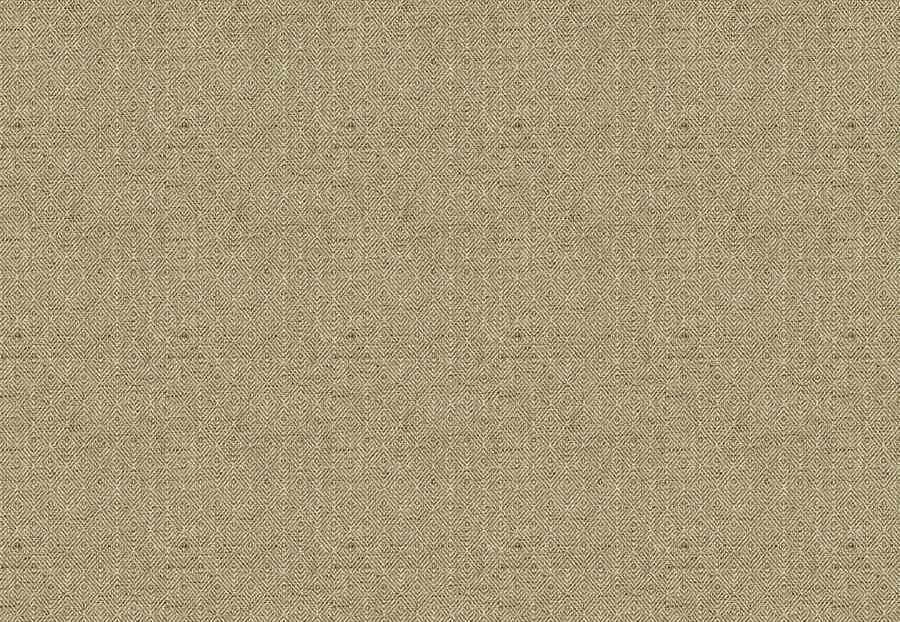 Ткань Fabricut Natural Nuances Vignettes Clay Bayberry/Midas