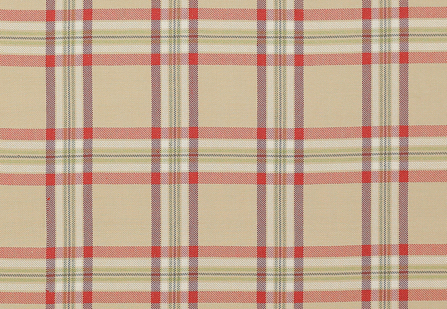 Ткань Colefax and Fowler Edgar Checks & Stripes F4518/01