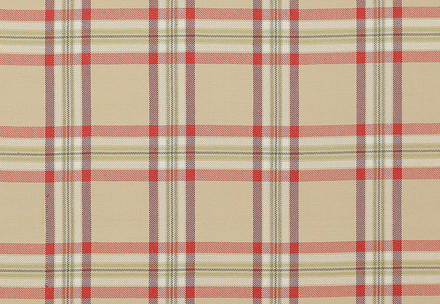 Ткань Colefax and Fowler Edgar Checks & Stripes F4518/01