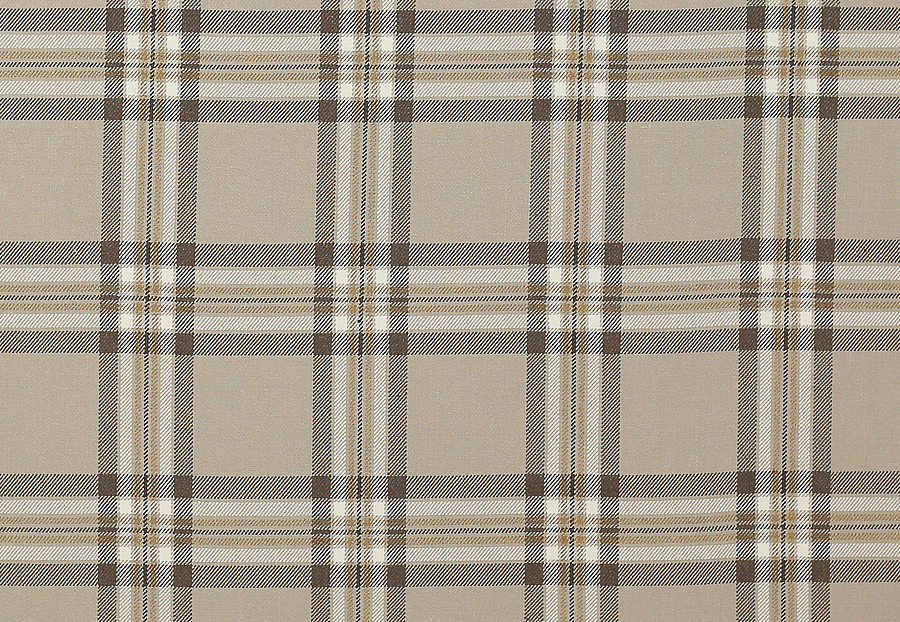 Ткань Colefax and Fowler Edgar Checks & Stripes F4518/06