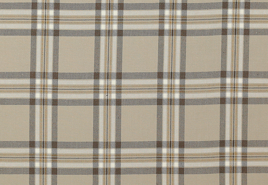 Ткань Colefax and Fowler Edgar Checks & Stripes F4518/06