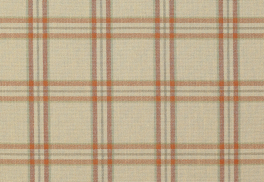 Ткань Colefax and Fowler Edgar Checks & Stripes F4524/02