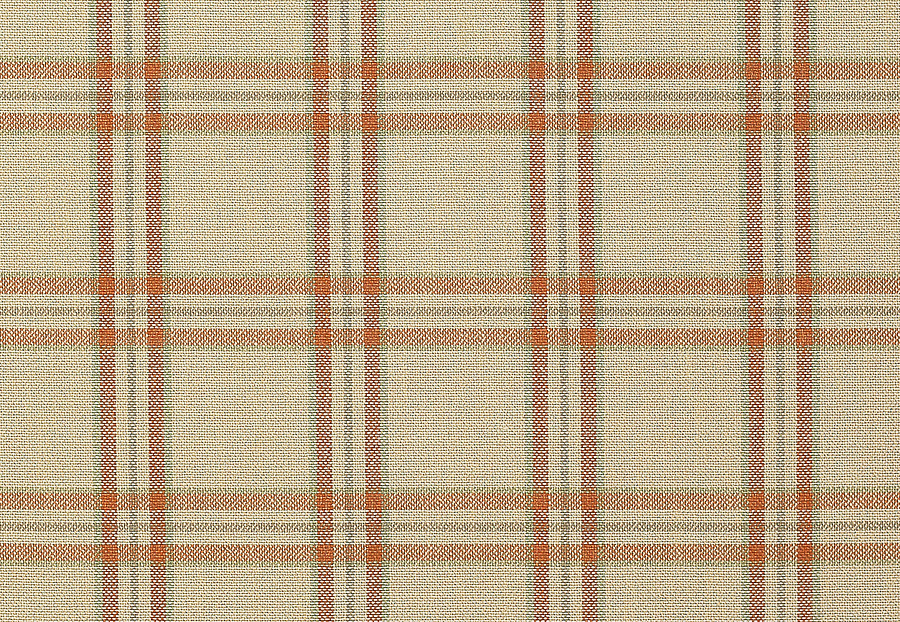 Ткань Colefax and Fowler Edgar Checks & Stripes F4524/02