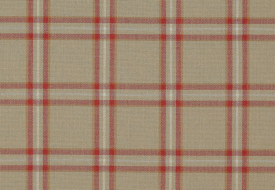 Ткань Colefax and Fowler Edgar Checks & Stripes F4524/03