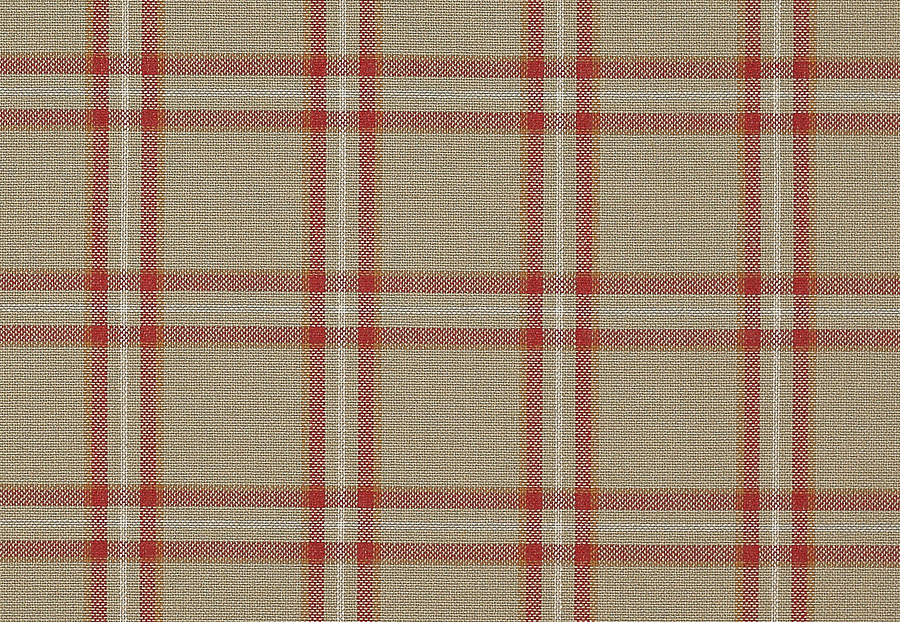 Ткань Colefax and Fowler Edgar Checks & Stripes F4524/03