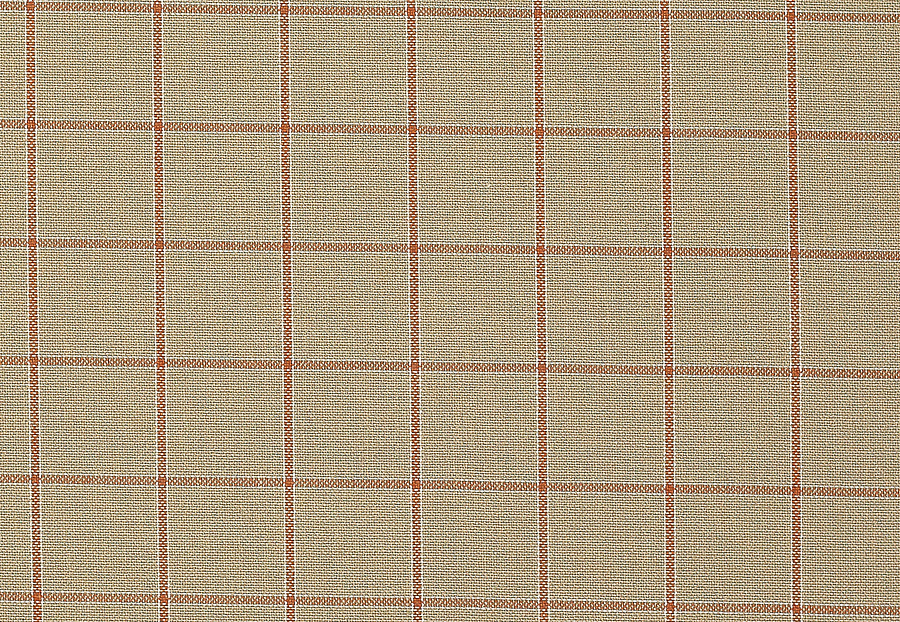 Ткань Colefax and Fowler Edgar Checks & Stripes F4523/01
