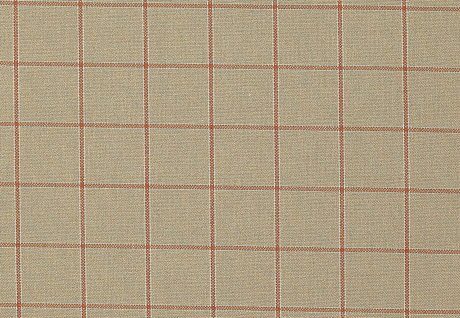 Ткань Colefax and Fowler Edgar Checks & Stripes F4523/01