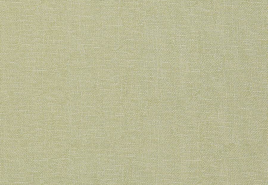 Ткань Jane Churchill Willow J862F/10