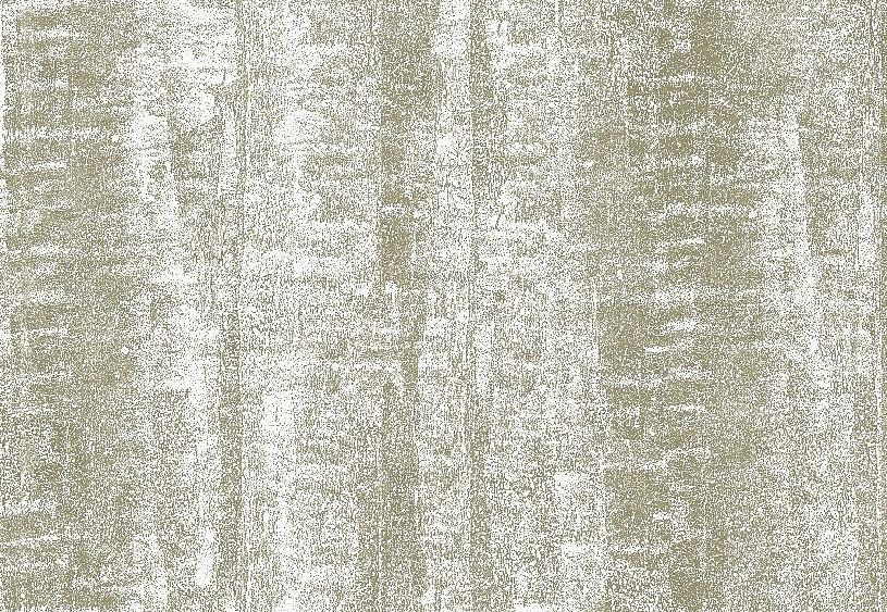 Обои KT-Exclusive Animalier AN112