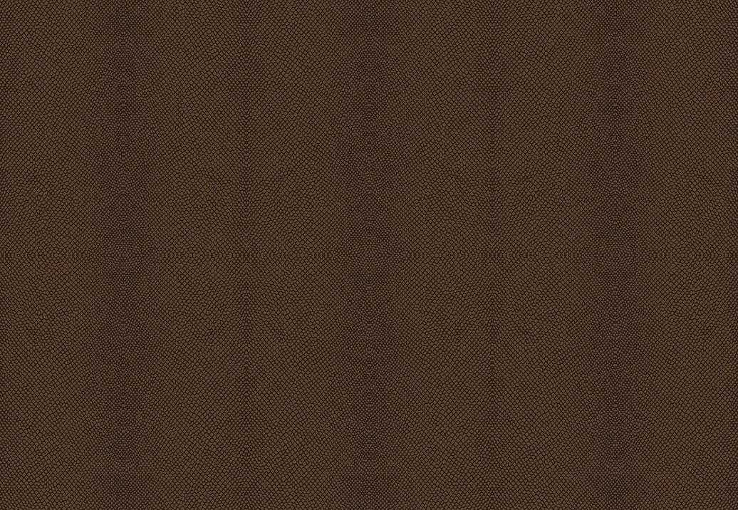 Обои KT-Exclusive Animalier AN628