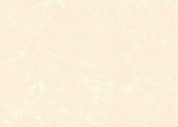 Обои Loymina Impress Stucco001