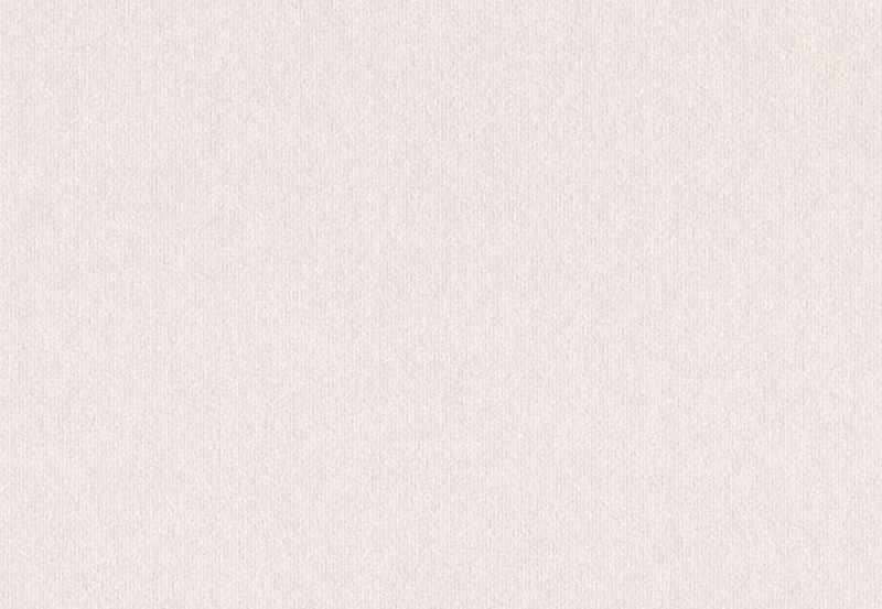 Обои Loymina Rosa Dragomirski R5001