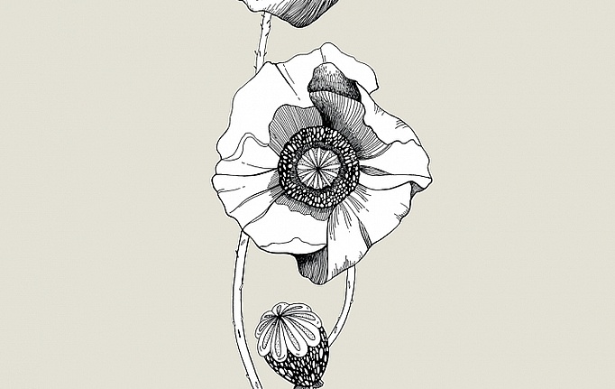 Российские панно и фотообои ID Wall, коллекция Botanica, артикул ID048022