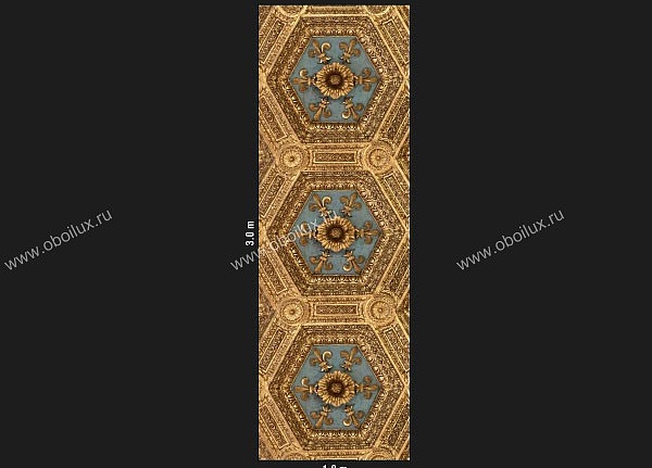 Панно и фотообои Loymina Illusion DC-002