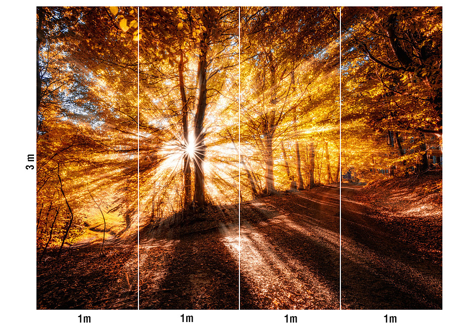 Панно и фотообои Loymina Illusion DF-002