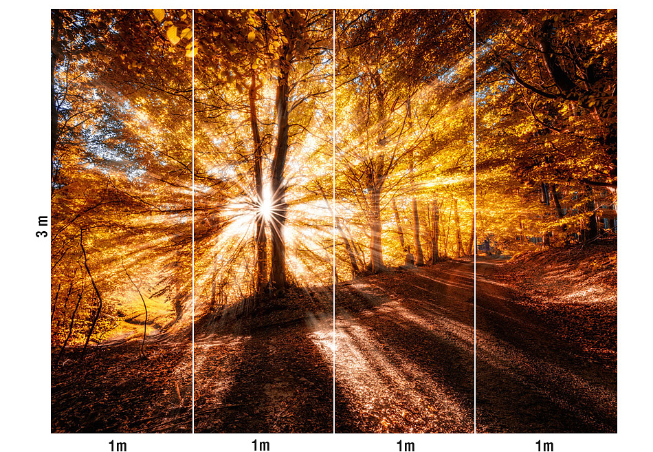 Панно и фотообои Loymina Illusion DF-002