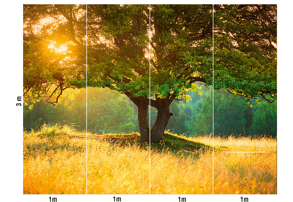 Панно и фотообои Loymina Illusion DS-014