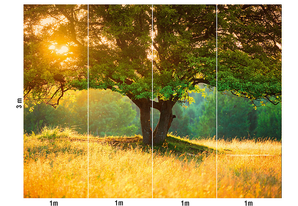 Панно и фотообои Loymina Illusion DS-014